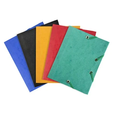 Imagen de Exacompta 50750E Pack de 25 carpetas con goma, POCKET 12x16cm, multicolor