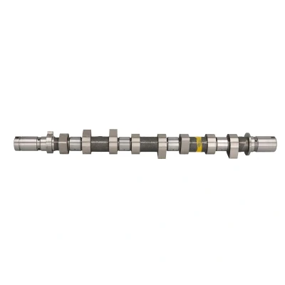 Imagen de AMC 647303 Árbol de Levas RENAULT: Kangoo I, I Express