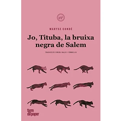 Imagen de Jo, Tituba, bruixa negra de Salem Cat 2ªED (NARRATIVES)
