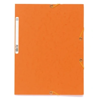 Imagen de Exacompta 55504E Carpeta con goma, A4, color naranja