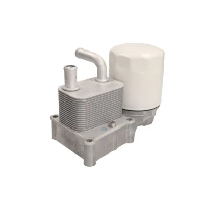 Imagen de THERMOTEC D4G016TT Radiador de Aceite FORD: Focus Mk1 Hatchback, Transit Connect Furgón, Tourneo