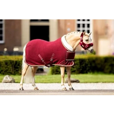 Imagen de HB Polar 400g Dutch Crown Show Rug