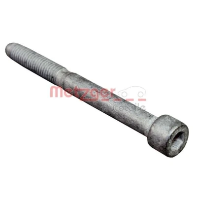 Imagen de METZGER 0870135S Tornillo, soporte inyector CITROËN: Jumper II Furgón, C4 Picasso 1, Grand 2, PEUGEOT: Expert Tepee, Boxer Furgón