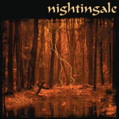 Imagen de I Nightingale Vinilo