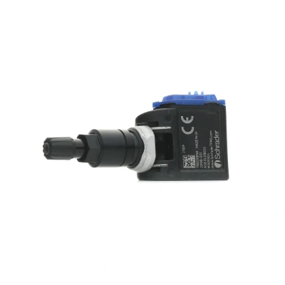 Imagen de SCHRADER 2200B GO1 Sensor de ruedas, con válvulas, ranura MERCEDES BENZ: Clase E Berlina, C A, RENAULT: Kadjar, Clio 4