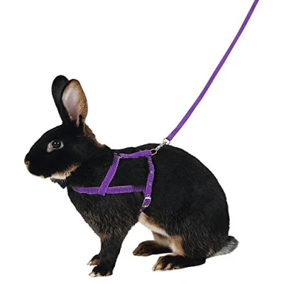 Imagen de Pechera Agility con Correa, 2 m, Lila, M