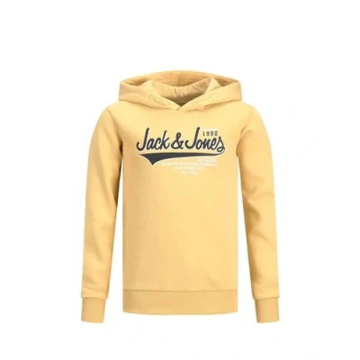 Imagen de JACK &amp; JONES Jjelogo Sweat Hood 2 Col 22/23 Noos Jnr Sudadera con Capucha, Jojoba, 140 para Niños