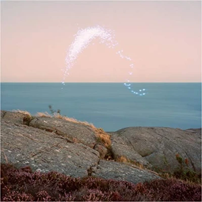 Imagen de An Overview On Phenomenal Nature [Vinilo]