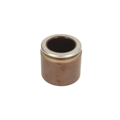 Imagen de AUTOFREN SEINSA D025593 Émbolo, pinza del freno 61 Eje delantero PBR