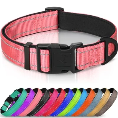 Imagen de Joytale Collar Perro Reflectante,Nylon Acolchado con Neopreno,Ajustable para Perros Pequeño,22 30cm,Rosa