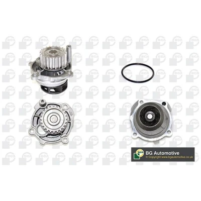 Imagen de Bomba de agua, refrigeración del motor BGA CP3176