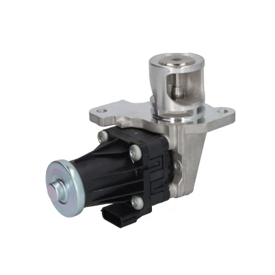 Imagen de Válvula EGR DELPHI EG10553 12B1