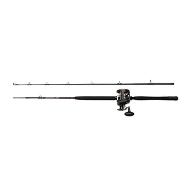 Imagen de PENN Warfare Juego de caña Pescar y Carrete multiplicador Pesca Combo Agua Salada Completa para caballa, Bacalao, lubina, abadejo Peces Planos, Negro, 210 cm, 30, Mango Derecho