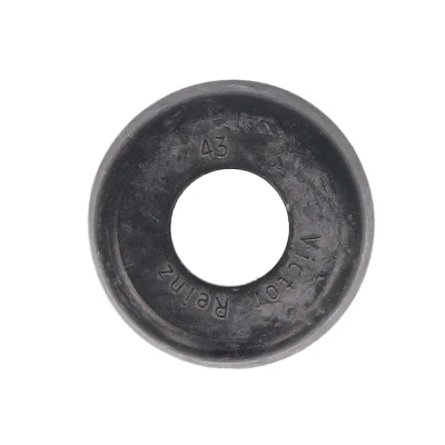 Imagen de Junta, tornillo tapa culata VICTOR REINZ 70 28779 00