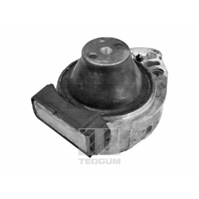 Imagen de TEDGUM 00226428 Soporte de motor Delante, derecha hidráulico FORD: FIESTA 5, Fusion Familiar