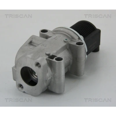 Imagen de TRISCAN 8813 15032 Válvula EGR eléctrico sin juntas FIAT: Doblo I Familiar, Cargo, Punto II Hatchback