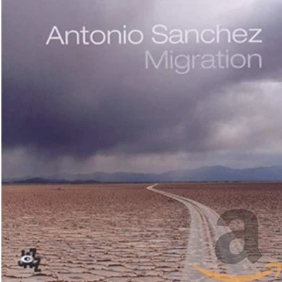 Imagen de Migration Antonio Sánchez