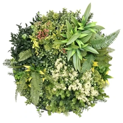 Imagen de BONERVA jardín Vertical Seychelles Planta Artificial para decoración de Pared en Interior y terrazas Pack 1 Pieza 50cm x (con Marco) Diseño estético Decorar hogar