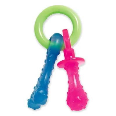 Imagen de Nylabone Teething Pacifier juguete para dentición de cachorros