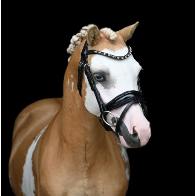 Imagen de HB Showtime Bridle Special A pony