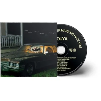 Imagen de They Could Never Make Me Hate You [Vinilo]