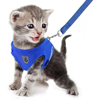 Imagen de FEimaX Arnés Perro Pequeños y Correa Reflectante Ajustable Antitirones Arnes de Malla Transpirable para Cachorros Gatos, Cómodo Chaleco Acolchado Perros Correr Caminar