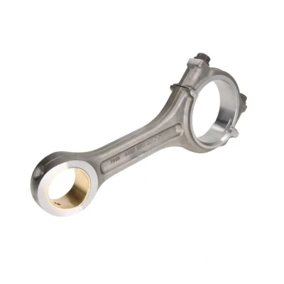 Imagen de Biela BF 20060346000