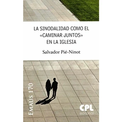 Imagen de la sinodalidad como el &#039;caminar juntos&#039; en Iglesia: 170 (Emaús)