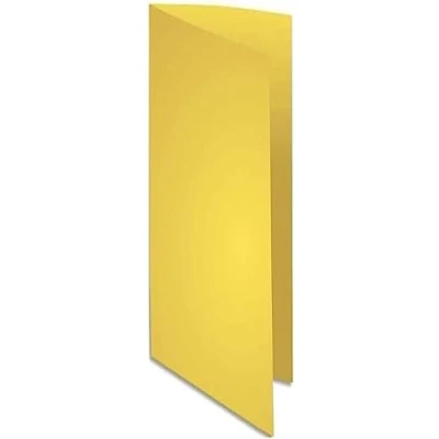 Imagen de Exacompta Flash 220 Paquete de 100 subcarpetas, 24 x 32 cm, color amarillo