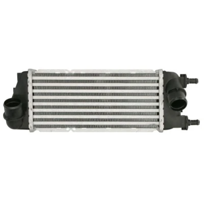 Imagen de Radiador de aire admisión THERMOTEC DAF016TT