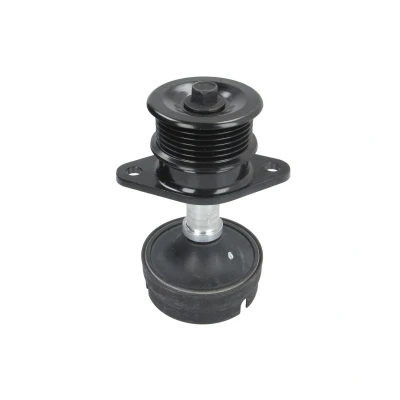 Imagen de INA 532 0612 10 Rueda Libre Alternador 31,50 FORD: Tourneo Connect, Focus Mk1 Hatchback, Berlina