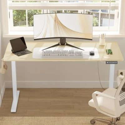 Imagen de WOLTU 140x60cm Escritorio Elevable en Altura 72 120 cm, Mesa Gaming de Elevación Eléctrica con Puertos Carga USB, 4 Función Memoria y Proteccion Anticolision, Roble, TS194rh02