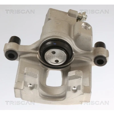 Imagen de Válvula EGR TRISCAN 8813 25201