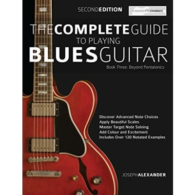 Imagen de The complete guide to playing blues guitar compilation