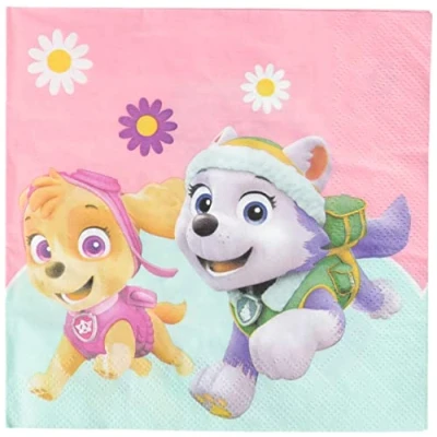 Imagen de Procos 90277 Servilletas Paw Patrol Skye &amp; Everest (20 Unidades), Color Rosa y Verde