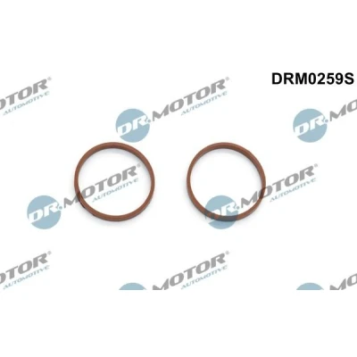 Imagen de DR.MOTOR AUTOMOTIVE DRM0259S Juego de juntas, colector admisión PEUGEOT: 207 Hatchback, Partner II Tepee, Furgón, FORD: FIESTA 6