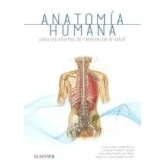 Imagen de Anatomía humana para estudiantes de ciencias la salud