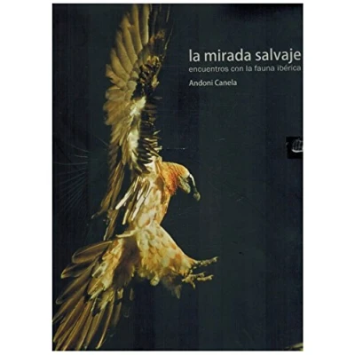 Imagen de Mirada salvaje (GUIAS VARIAS ANIMALES)