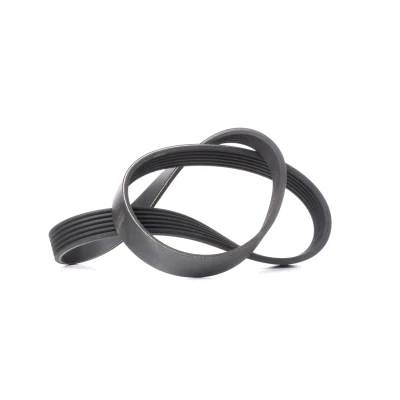 Imagen de CONTITECH 6PK923 Correa trapecial poli V 923 6 SEAT: Ibiza 2, Inca, 3, VOLKSWAGEN: Caddy Transporter 4, GOLF TOYOTA: Auris Hatchback