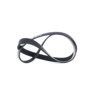 Imagen de GATES 6PK1030SF Correa trapecial poli V 1030 6 PA (poliamida), EPDM (Ethylen Propylen Dien Caucho) FleetRunner PowerBand FORD: FIESTA 6, FOCUS 3