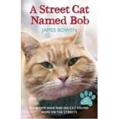 Imagen de A street cat name bob