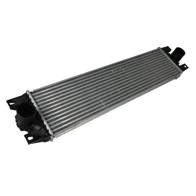 Imagen de Intercooler THERMOTEC DAR003TT