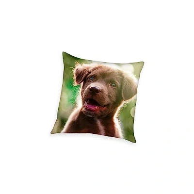 Imagen de Herding Coussin Décoratif, Young Collection Chiot, 40 x cm, Polyester