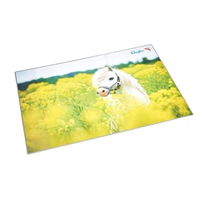 Imagen de Camino Diseño de vade, color Pferd im Rapsfeld