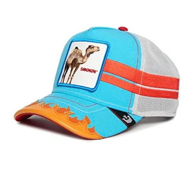 Imagen de Goorin Bros Gorra Azul y Blanca Dromedario Somebody Stop