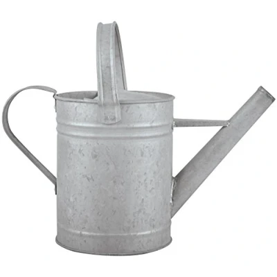 Imagen de Fallen Fruits Regadera de Zinc Envejecido con Capacidad 1,5 litros