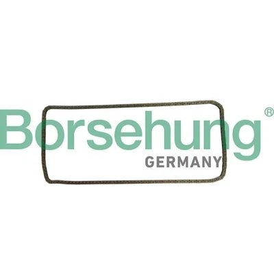 Imagen de Cadena de distribución Borsehung B1C030