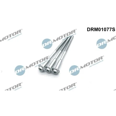 Imagen de DR.MOTOR AUTOMOTIVE DRM01077S Tornillo, soporte inyector SEAT: Ibiza 4 ST, 4, Sportcoupe, VOLKSWAGEN: Polo V Hatchback, SKODA: Fabia 2