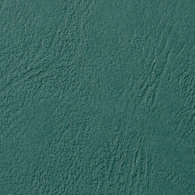 Imagen de GBC ProView CE040045 Cartón granulado de Piel (A4, 250 g/m2, 100 Unidades), Color Verde Oscuro