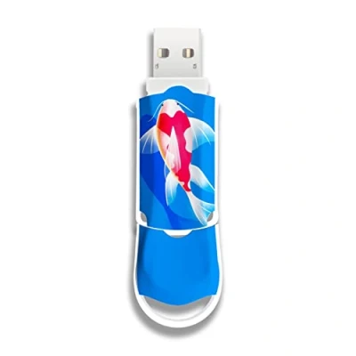 Imagen de Integral 128GB Pez Koi Xpression USB 3.2 Gen 1 Flash Drive diseño Elegante Ideal para Almacenamiento &amp; Copia de Seguridad Estudios, Trabajo Ocio Idea Regalo Divertida Original